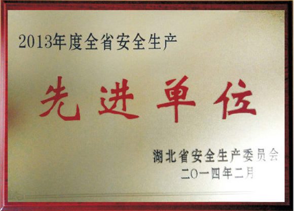 2013年度全省安全生產(chǎn)先進(jìn)集體.jpg