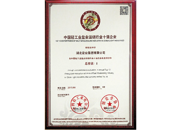 中國輕工業(yè)鹽業(yè)運(yùn)銷行業(yè)十強(qiáng)企業(yè)2.jpg